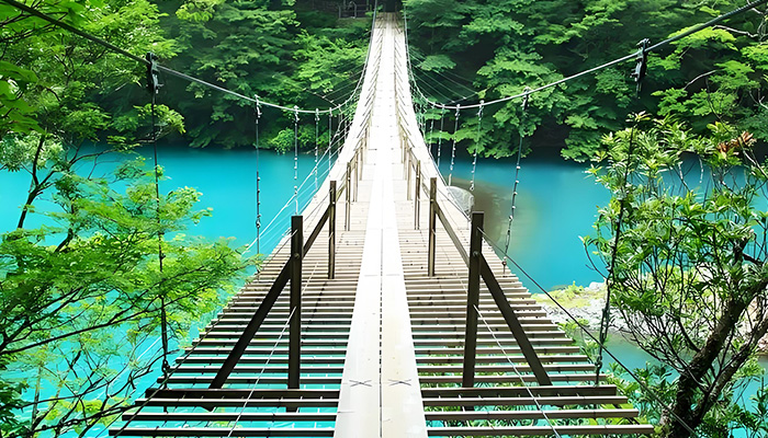 Step-by-step Thrilling Bridge